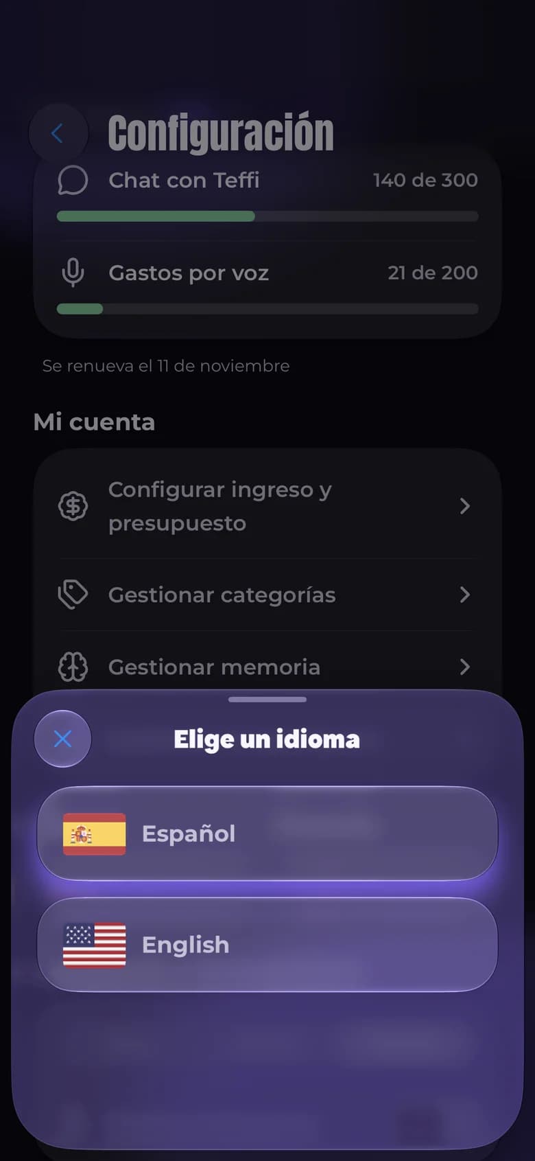 Teffi settings with the language picker: Español or English